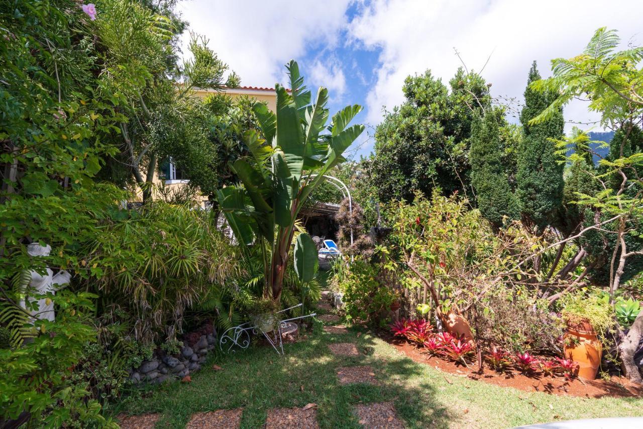 Cyane & Vigo'S Cottage, Caminho Do Massapez, N.º40 Arco da Calheta  Dış mekan fotoğraf